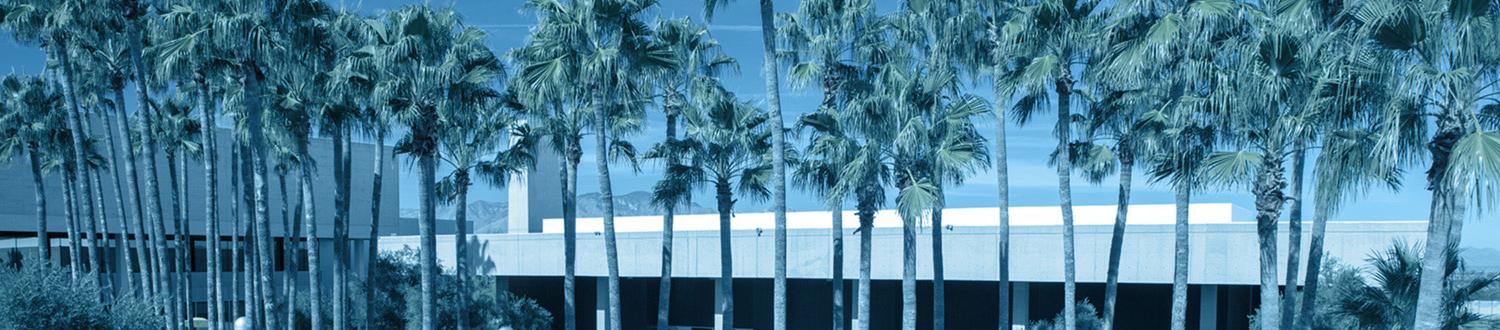 West Campus courtyard with palm trees